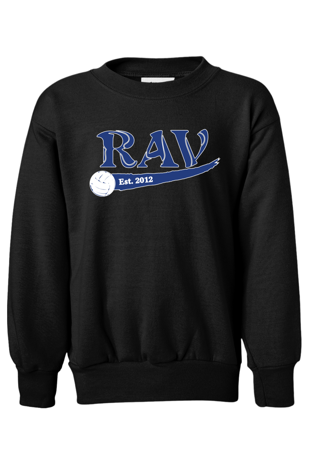 Rome Area Volleyball Hanes Ecosmart Youth Crewneck Sweatshirt