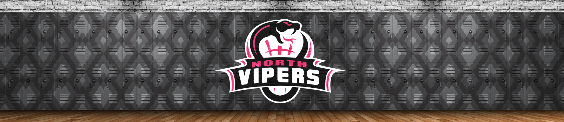 North Vipers Lacrosse