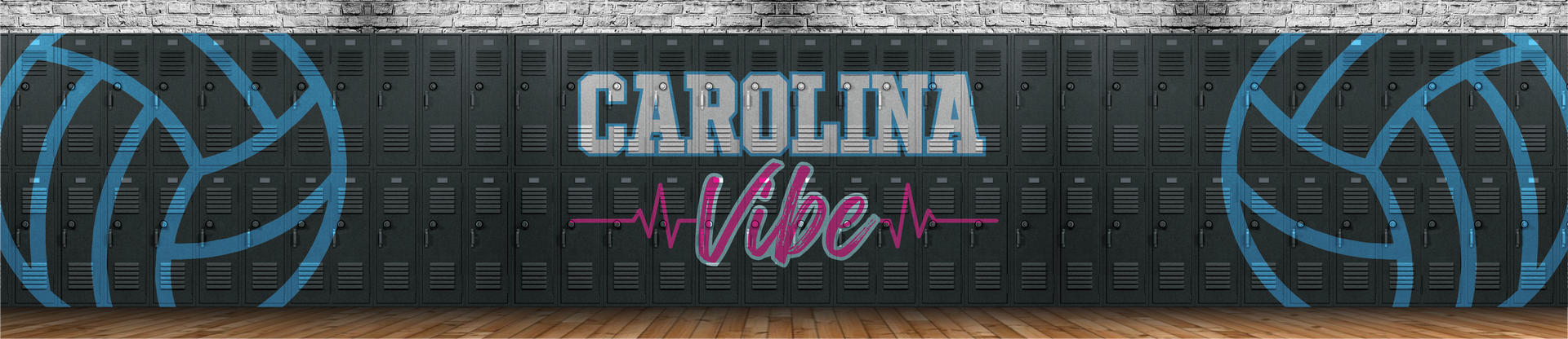 Carolina Vibe Volleyball
