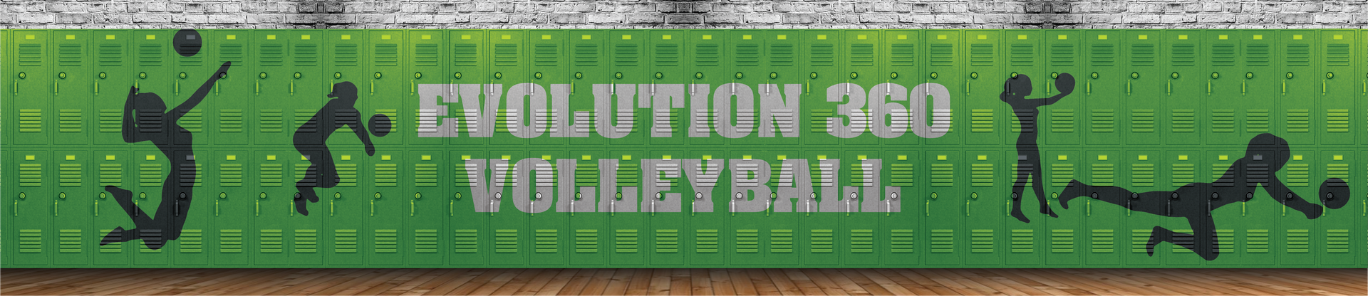 Evolution 360 Volleyball