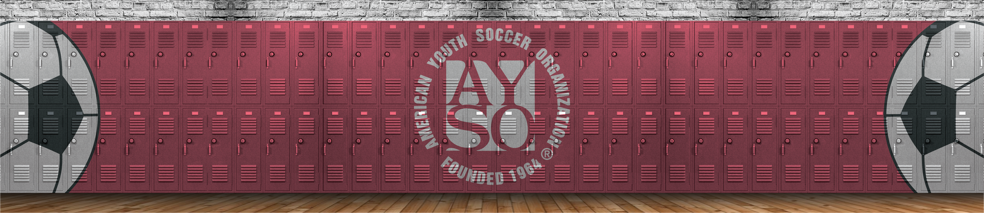 AYSO Region 571 Youth Soccer