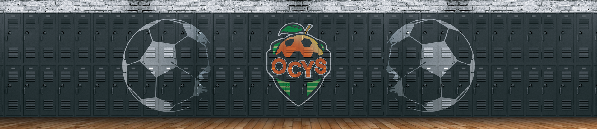 Orange County Youth Soccer