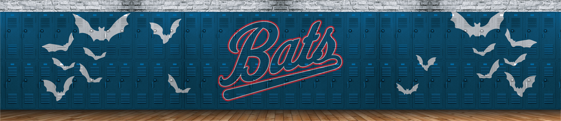 Dallas Bats Baseball