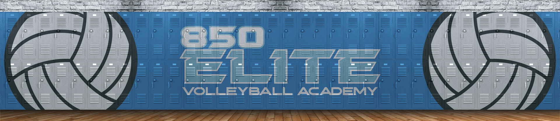 850 Elite Volleyball