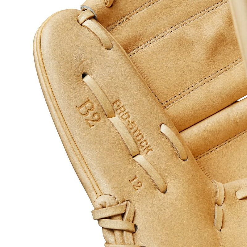 Wilson A2000 Glove Day Series B2 12" Baseball Glove WBW10208512