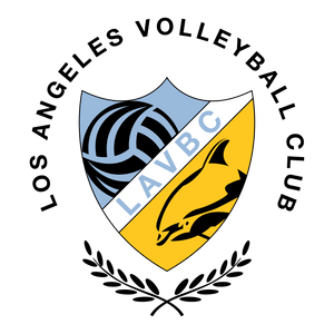 Program D