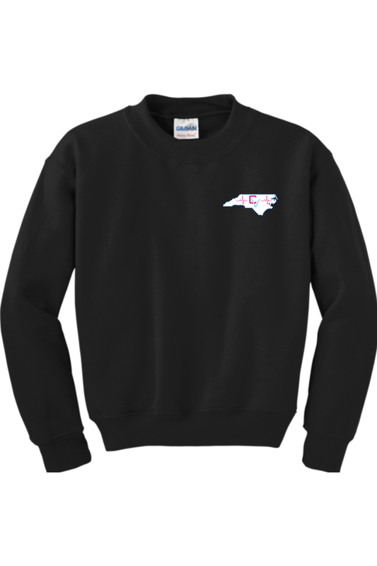 Carolina Vibe Volleyball Youth Sweatshirt Signature Lacrosse