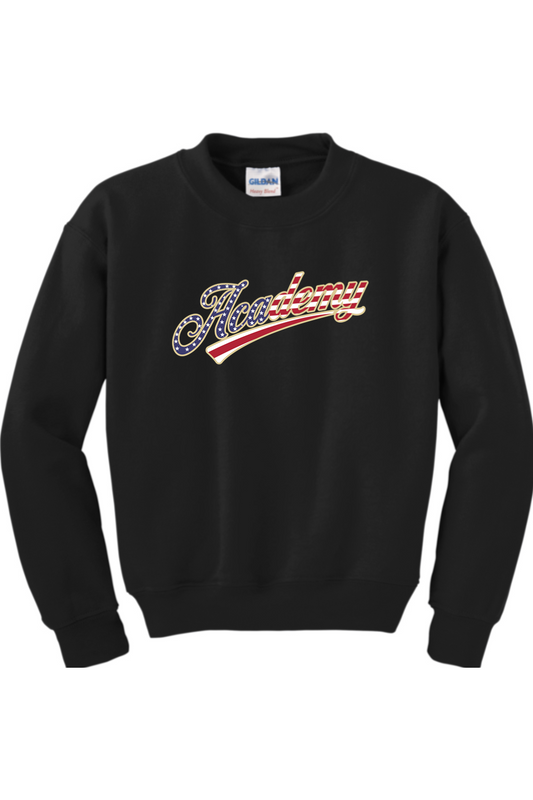 Academy Baseball Youth Sweatshirt
