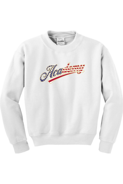 Academy Baseball Youth Sweatshirt