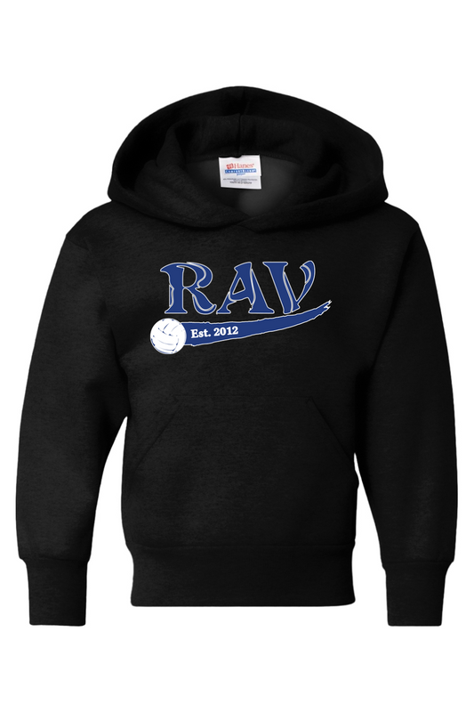 Rome Area Volleyball Hanes Ecosmart Youth Hooded Sweatshirt