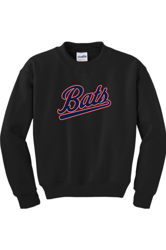 Dallas Bats Baseball Youth Sweatshirt
