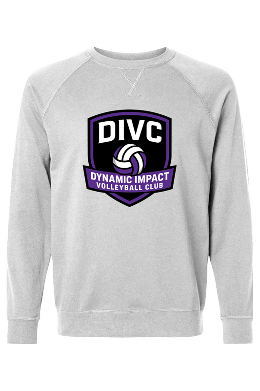 Dynamic Impact Volleyball Club Adult Heavyweight Raglan Long Sleeve